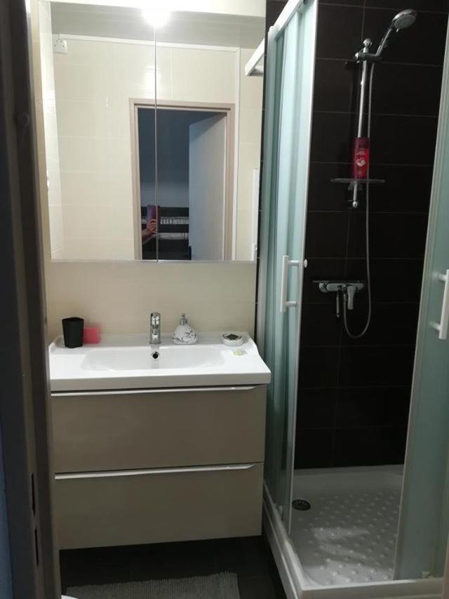 Studio cabine VUE PORT avec piscine, parc, boulodrome et parking privé Agde Extérieur photo